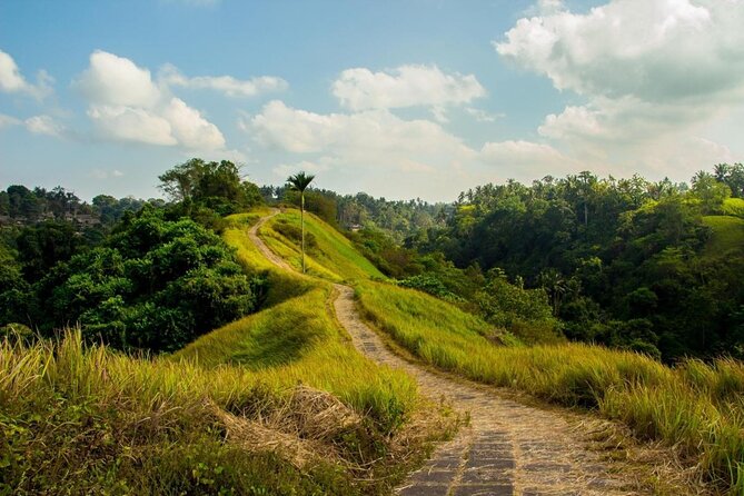 Ubud Countryside Tour: Campuhan Ridge Walk and Rice Terrace - The Real Value of a $40 Ubud Countryside Day