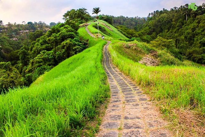 Ubud Countryside Tour: Campuhan Ridge Walk and Rice Terrace - Traditional Balinese House Compound in Batuan: A Simple Cultural Warm-Up