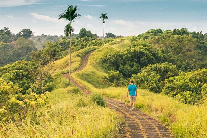 Ubud Countryside Tour: Campuhan Ridge Walk and Rice Terrace - Campuhan Ridge Walk: Easy Path, Big Ubud Air