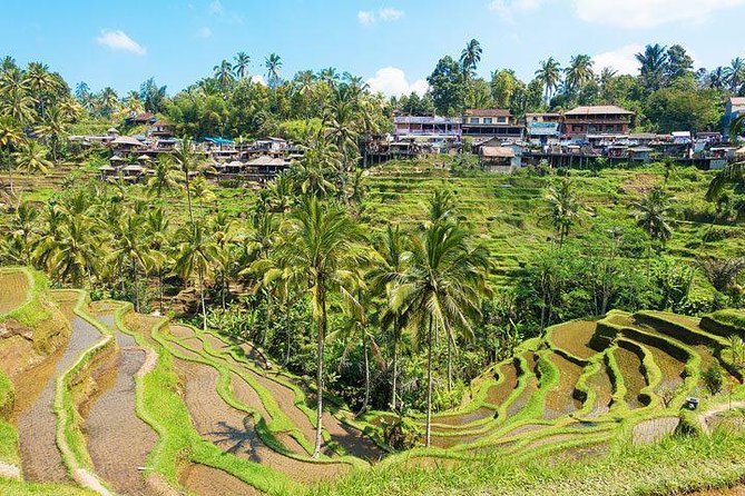 Ubud Countryside Tour: Campuhan Ridge Walk and Rice Terrace - Tegenungan Waterfall: Nature Time Mid-Day