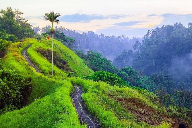 Ubud Countryside Tour: Campuhan Ridge Walk and Rice Terrace - Coffee Plantation Stop: What Organic Balinese Coffee Tastes Like