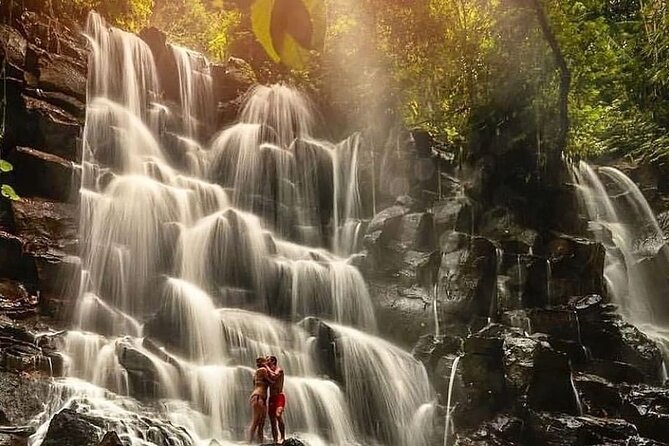 Ubud Customized Full Day Tour - Visit Most favorite In Ubud - How this private tour works in real life