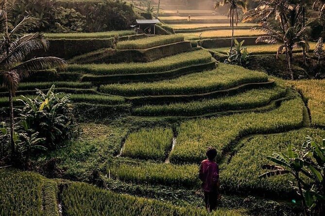 Ubud Customized Full Day Tour - Visit Most favorite In Ubud - Choosing the right guide: when personalities matter