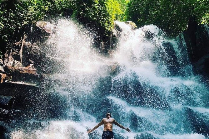 Ubud Customized Full Day Tour - Visit Most favorite In Ubud - Who should book this customized Ubud day?