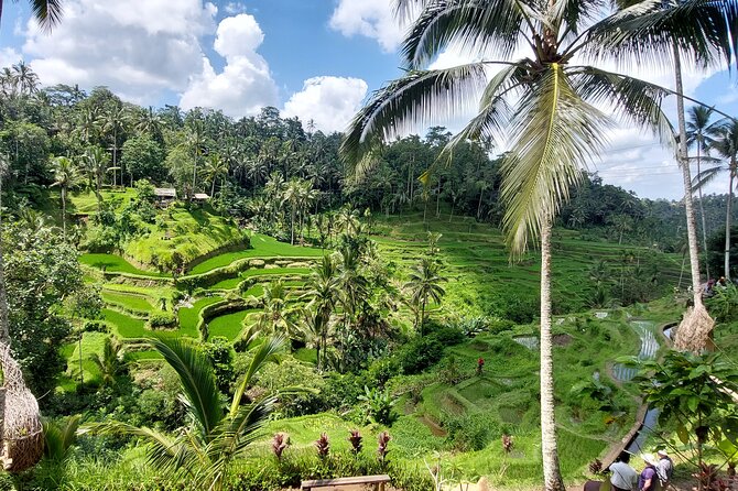 Ubud Customized Private Tour - Kanto Lampo Waterfall: a quick, local-feeling stop