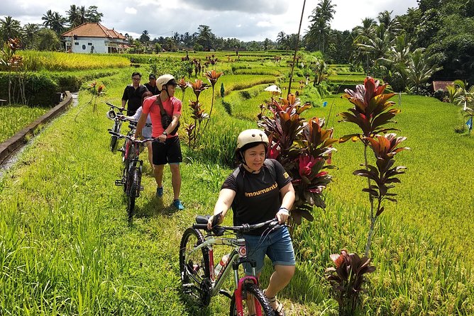 Ubud Cycling Tour - Mount Batur breakfast and the best morning views