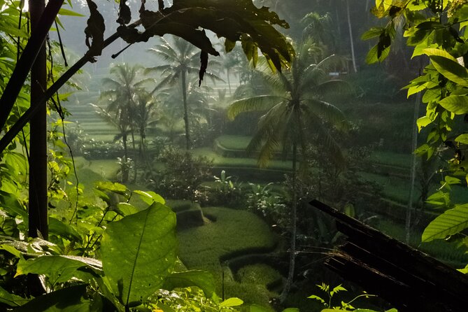 Ubud Day Tour - Top Things to do in Ubud + Local Ubud Guide - Who This Tour Suits Best (and Who Might Feel Crunched)