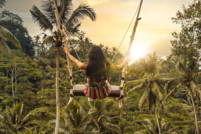Ubud Day Tour - Top Things to do in Ubud + Local Ubud Guide - Comfort and Logistics: Pickup, AC, Wi‑Fi, and a Full-Day Rhythm
