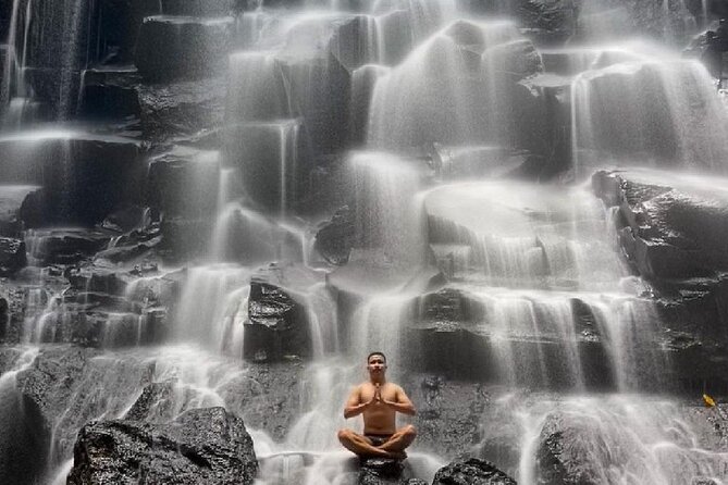 Ubud Day Tour : Waterfall, Temple and Local Night Market Tour - Who should book this Ubud day tour