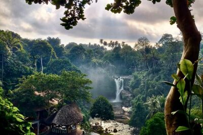 Ubud Day Tour with Private Car & Local Driver - Seminyak pickup to Ubud sights: how the 8–10 hours really works