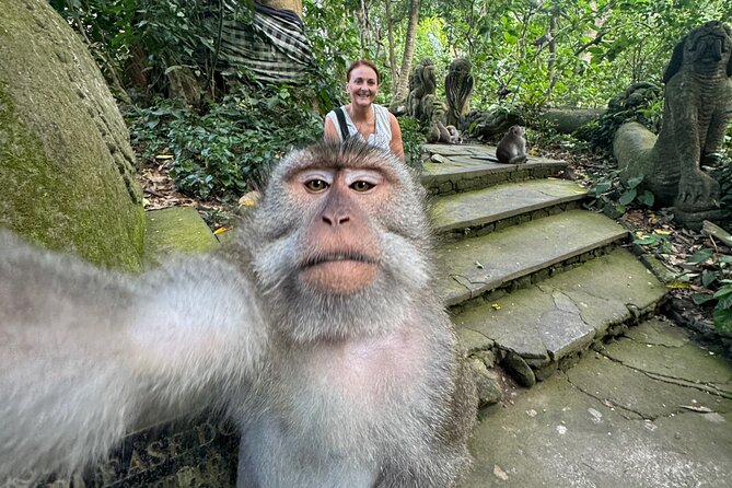 Ubud Day Tour with Private Car & Local Driver - Tirta Empul Temple: holy springs dedicated to Vishnu