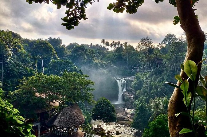 Ubud Day Tour with Private Car & Local Driver - Shopping time in Ubud: practical stops without losing the day