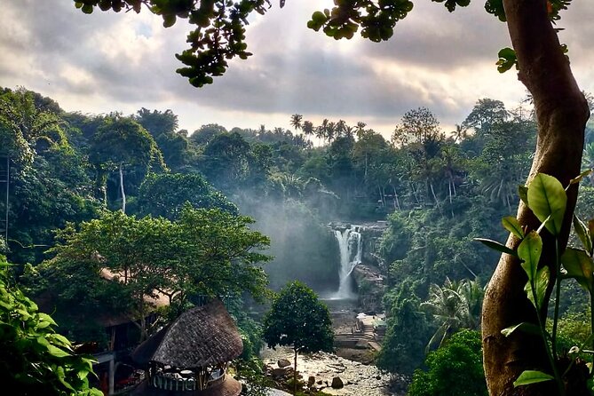 Ubud Day Tour with Private Car & Local Driver - Seminyak pickup to Ubud sights: how the 8–10 hours really works