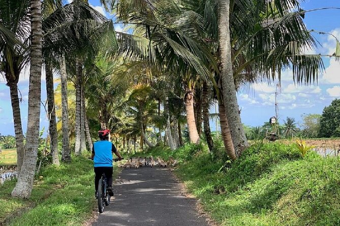 Ubud: Downhill Cycling with Volcano, Rice Terraces and Meal - The real value in this tour: $36.66 for a guided downhill day
