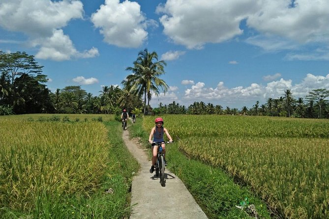 Ubud Eco Culture Cycling Exploration - Key highlights to expect on the ride