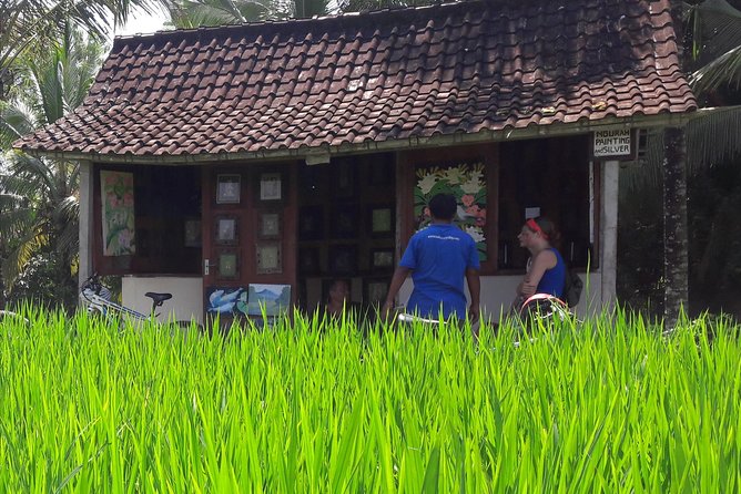 Ubud Eco Culture Cycling Exploration - Abangan paddy lanes and young coconut breaks