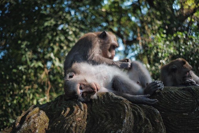 Ubud Excursion: Barong Dance, Art Villages, Nature, Temple and Waterfall - Puseh Batuan Temple: more than a quick photo stop