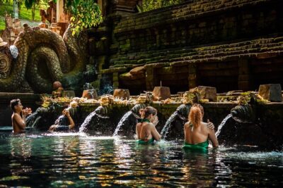 Ubud Experience | Full Day Private Tour in Ubud | FREE WIFI - Monkey Forest Sanctuary: shadows, temples, and monkeys that want attention