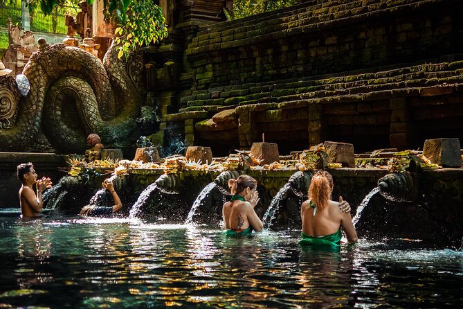Ubud Experience | Full Day Private Tour in Ubud | FREE WIFI - Monkey Forest Sanctuary: shadows, temples, and monkeys that want attention