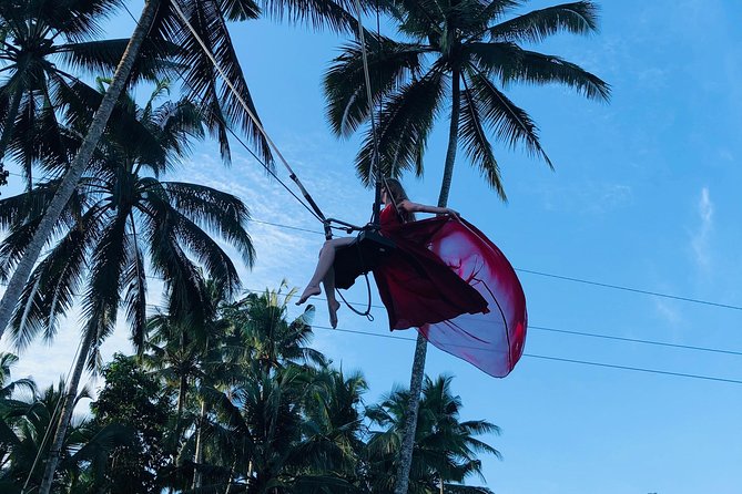 Ubud Experience ; Swing, Waterfalls, Art Market, Rice Terrace - Ubud Palace: A Short Royal Stop With Real Culture Energy