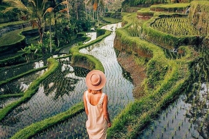 Ubud Explorer Private Day Tour - A Full Ubud Loop: What Makes This Tour Feel Worth It