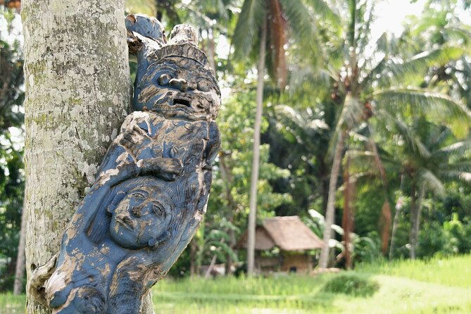 Ubud Explorer Private Day Tour - Stop Two: Tegenungan Waterfall and the Walk to the Photo Spot
