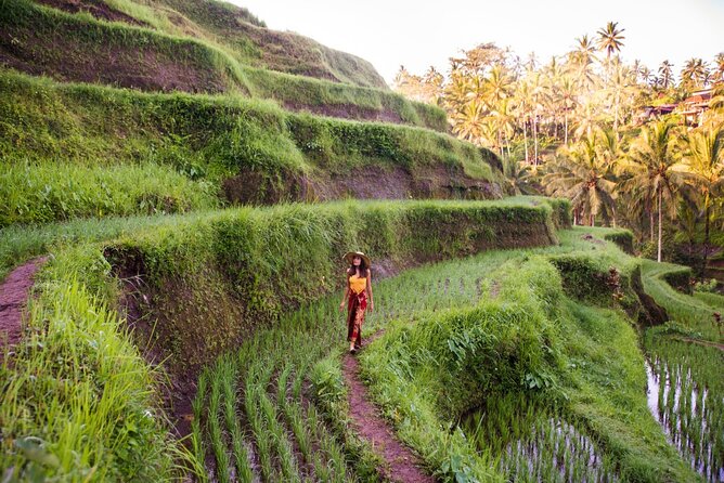 Ubud Full Day ATV Adventure with Rice Terrace and Temple Ritual - Price and Value: Is $85 Worth It?