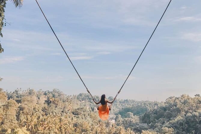 Ubud Full Day - Monkey Forest, Rice Terrace and Waterfalls Tour - Seminyak to Ubud: private pickup that saves your energy