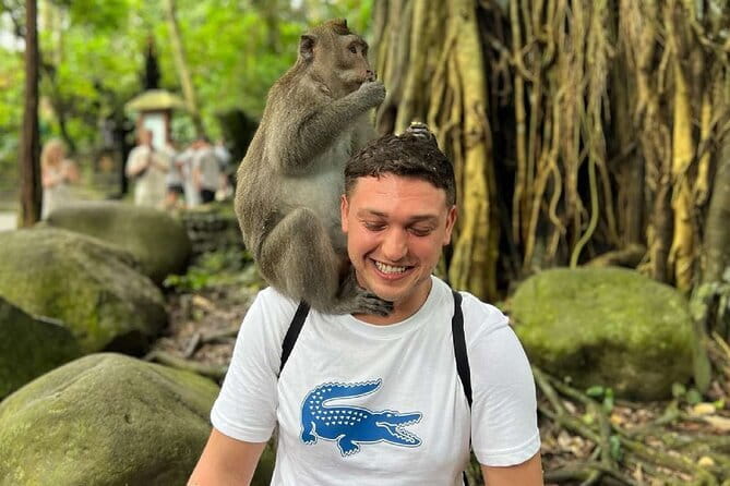 Ubud Full Day - Monkey Forest, Rice Terrace and Waterfalls Tour - Sacred Monkey Forest Sanctuary: nature reserve plus wild characters