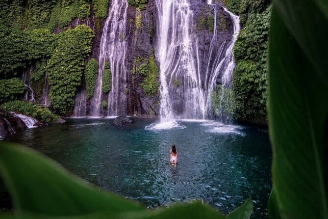 Ubud Full Day - Monkey Forest, Rice Terrace and Waterfalls Tour - Price and value: what you’re really paying for