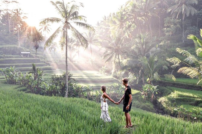 Ubud Full Day Tour Waterfall Monkey Forest Rice Terrace - Weather, Photo Planning, and Timing With Multiple Stops