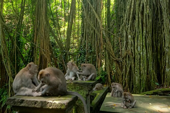 Ubud Guided Tour Monkey Forest, Waterfall, Temple & Rice Terrace. - Ubud Palace and the Art Market Area: Royal Roots Plus Souvenirs