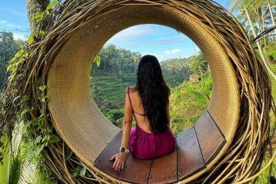 Ubud Guided Tour Monkey Forest, Waterfall, Temple & Rice Terrace. - Sacred Monkey Forest Sanctuary: What to Expect With Hundreds of Macaques