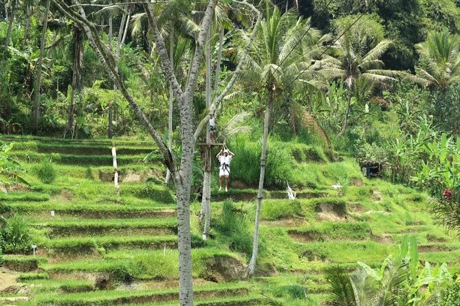 Ubud Half Day Zipline and Jungle Swing - Jungle Swing in the Rice Fields: The 13-Meter Thrill