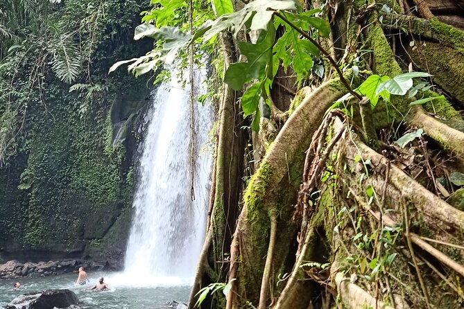 Ubud Half Day Zipline and Jungle Swing - Zipline Over the Fields: Short Runs, Big Nerve, Clear Safety Gear