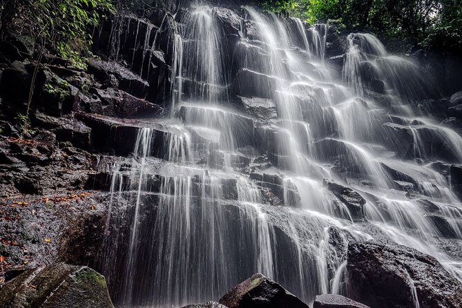 Ubud Hidden Gems Waterfalls and Private tour - Stop 5: Cantik Agriculture Plantation and Tropical Fruit Sampling