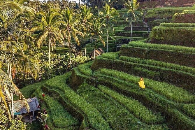 Ubud Hidden Waterfalls and Rice Terrace Tours - Tegalalang Rice Terrace Walk for Irrigation-System Understanding