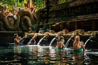 Ubud Highlight: Best of Ubud Private Day Tour with Local Guide - Tegalalang Rice Terraces and Subak: why this 40 minutes is built right