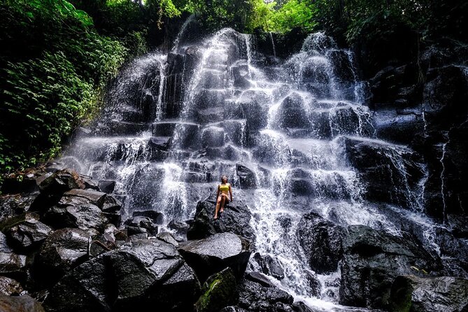 Ubud Highlight: Best of Ubud Private Day Tour with Local Guide - Price and value: is $25 realistic for this much?