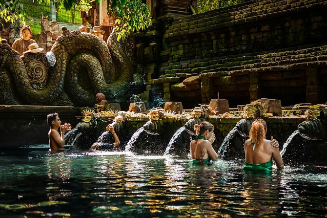 Ubud Highlight: Best of Ubud Private Day Tour with Local Guide - Tegalalang Rice Terraces and Subak: why this 40 minutes is built right