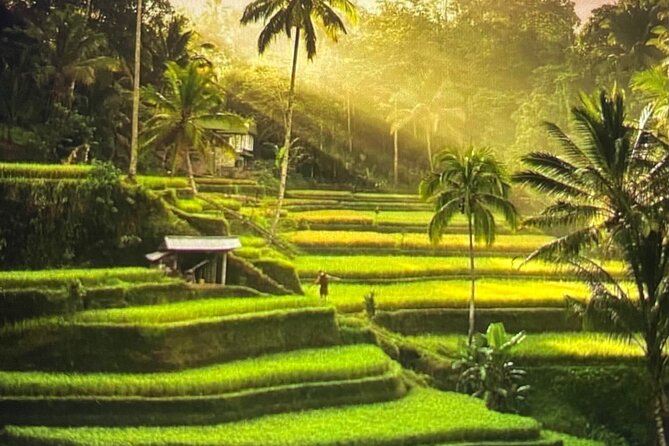 Ubud Highlight Rice Terrace,Waterfall,Temple and Art village - Key Highlights to Look for