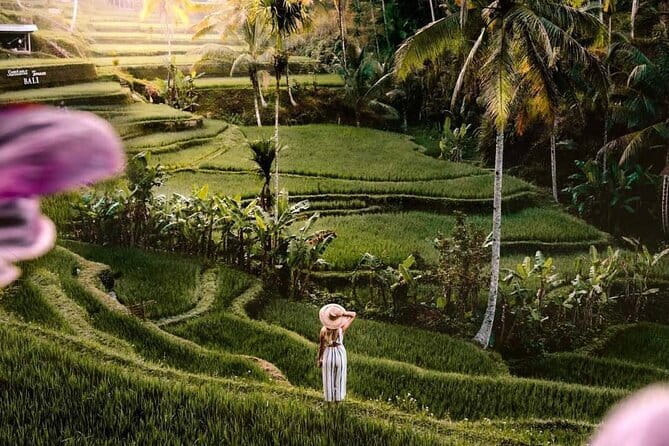 Ubud Highlights -Private Tour,Temples, Waterfalls & Rice terraces - Key Highlights Worth Booking