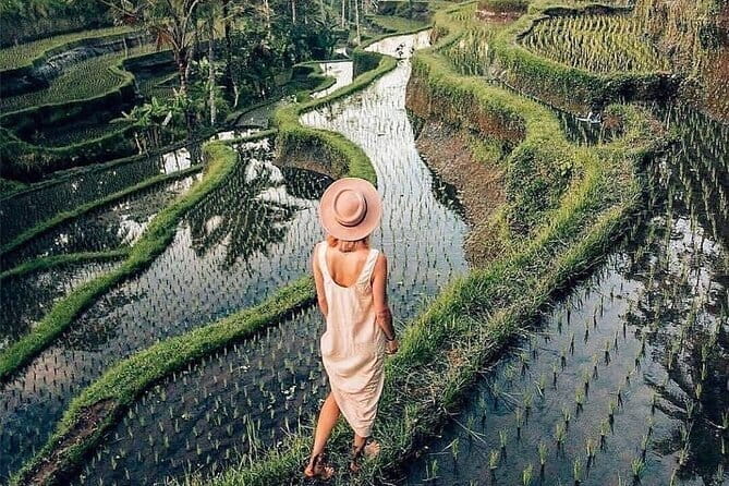 Ubud Highlights -Private Tour,Temples, Waterfalls & Rice terraces - Why This Ubud Day Works So Well