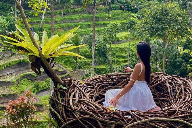 Ubud Highlights -Private Tour,Temples, Waterfalls & Rice terraces - Tegalalang Rice Terrace: The View Is Famous for a Reason