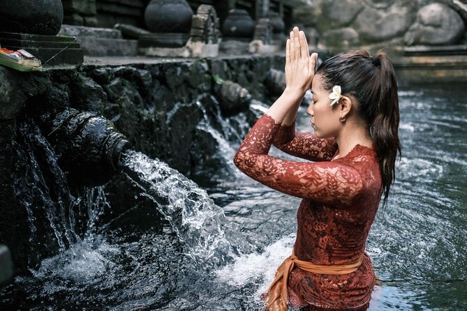 Ubud Highlights Rice Terraces, Temple, Waterfall & Monkeys forest - Private Pacing Around Ubud’s Countryside (So You’re Not Whipped Around)