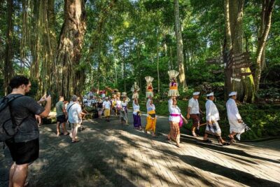 Ubud Highlights Rice Terraces, Temple, Waterfall & Monkeys forest - Tirta Empul Temple: Holy Springs and Purification at Indara’s Site