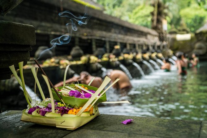 Ubud Highlights Rice Terraces, Temple, Waterfall & Monkeys forest - Tegalalang Rice Terraces: iconic views, short and sweet timing