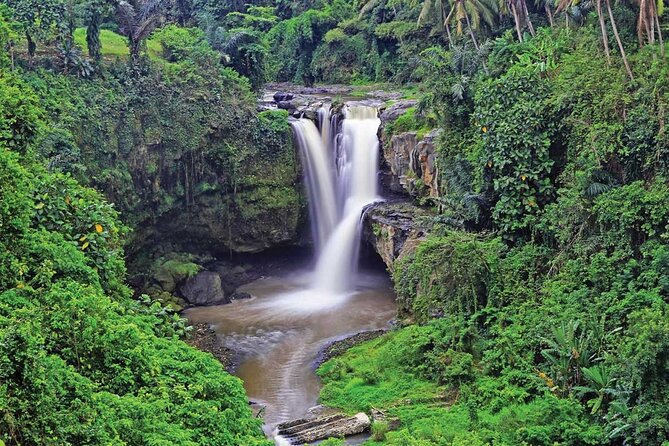 Ubud Highlights Rice Terraces, Temple, Waterfall & Monkeys forest - Tegenungan Waterfall: nature break and possible swim time