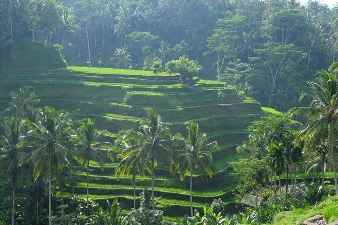 Ubud Highlights Tour ( Private All-Inclusive ) - Tirta Empul Temple: the spring holy water stop you’ll remember