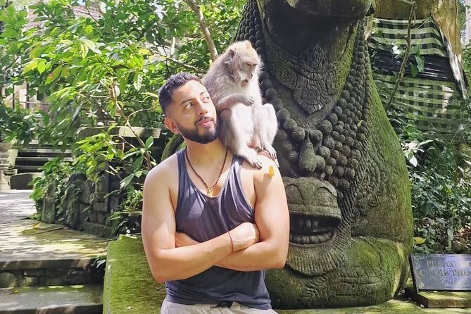 Ubud Higlights Full Day Tour - Private Tour Experience - How the Private Ubud Day Works (and Why It Matters)